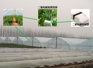 智慧农业二氧化碳传感器在大棚蔬菜种植中的重要作用