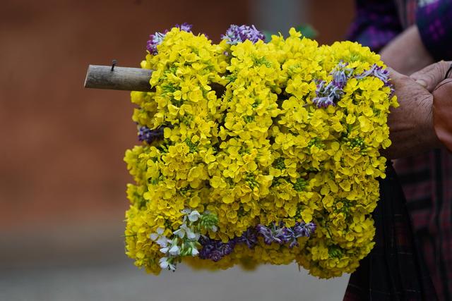 谈谈怎样拍好油菜花环照