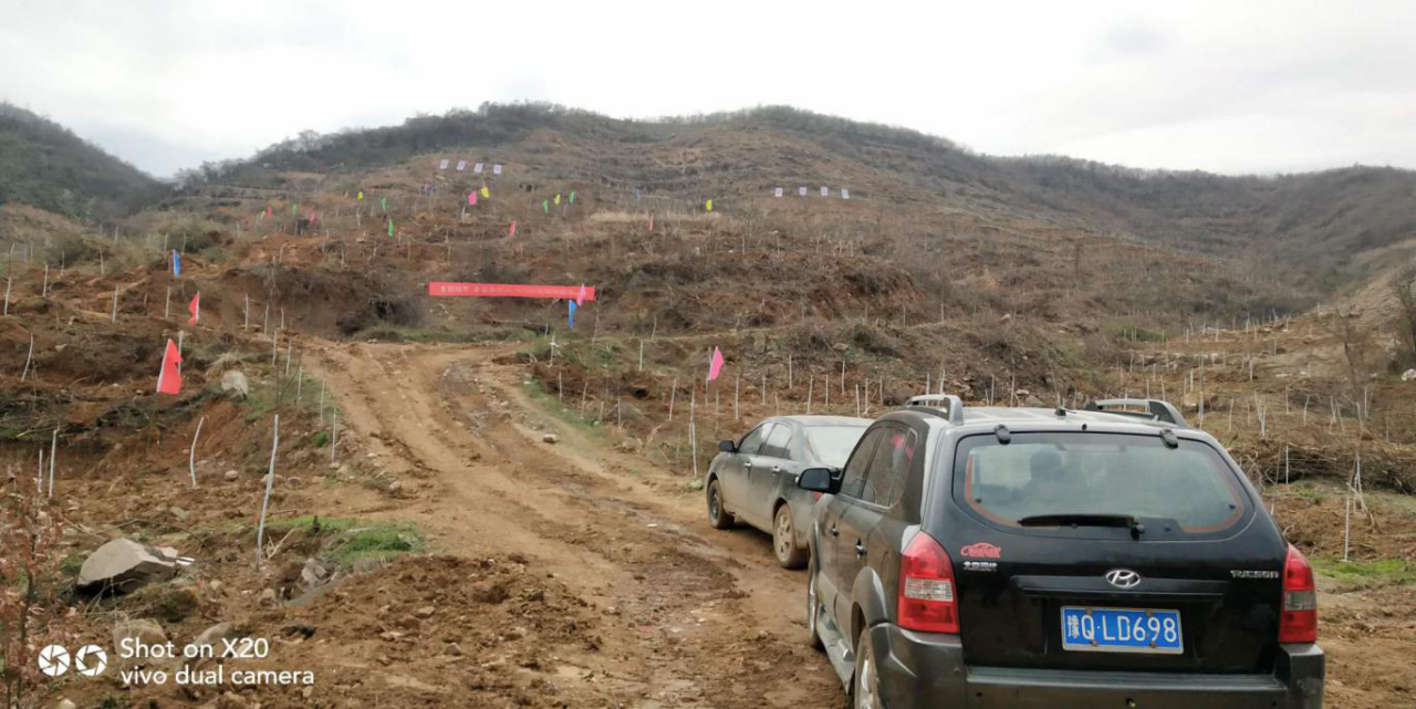 为了最美的风景:驻马店市确山县石滚河镇掀起创建森林城市共建绿色