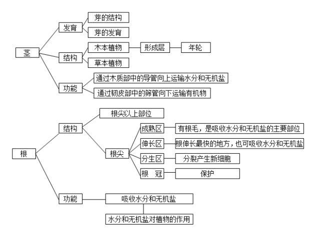 最全初中生物思维导图,学透初中生物