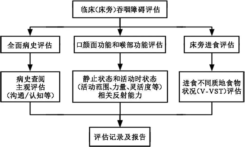 图2 吞咽障碍评估流程图1 团队合作模式及其分工共识二:筛查与评估不