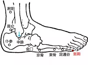 中医专长医师资格考试--至阴穴: 主治神经性头痛,胎盘