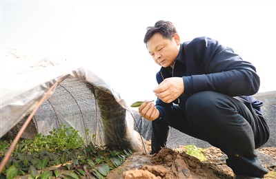 陕西省最新总人口为______人_陕西省富平最新图片