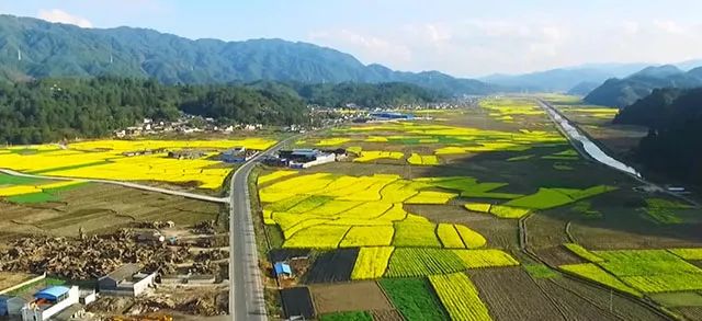 腾冲花海:猴桥古永坝,花香依旧的世外花园