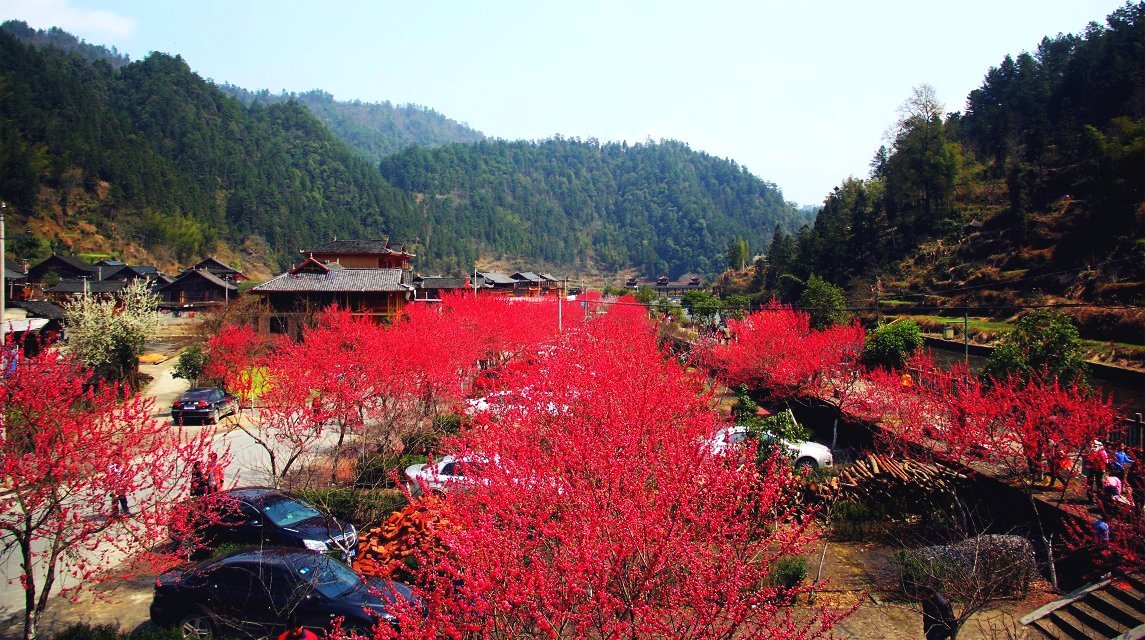 桃林位于城步县两江峡谷区内,是湖南"特色旅游名村","休闲农业魅力村