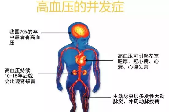 慢病人口_美食 想减肥就吃它,低糖低脂低热,营养全面不长肉