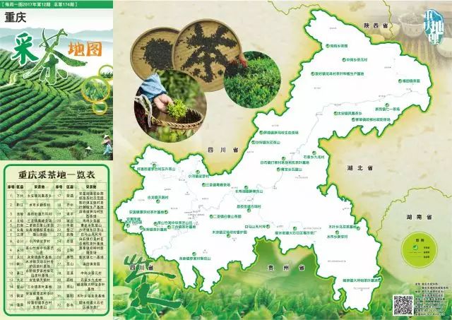 《重庆采茶地图》新鲜出炉!巫山广场这家的春茶声名远播.