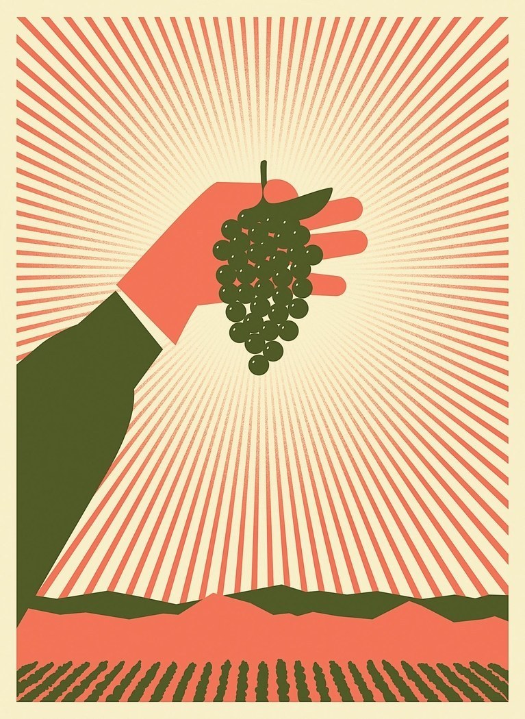 《纽约客》长文：葡萄酒产业背后的“宁夏折叠”