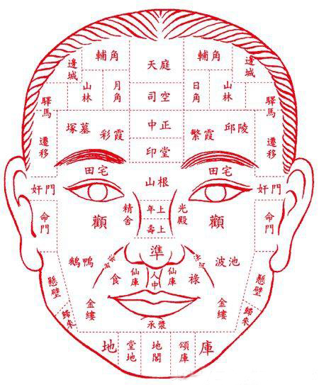 道玄命理:面相学基础知识入门第三课,断面额头纹路