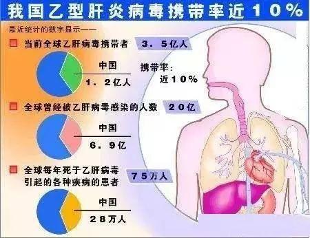 乙肝人口_乙肝五项正常结果图