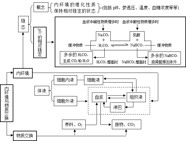 (包括植物调节,体液调节,神经调节,内环境与稳态,水盐调节,血糖调节