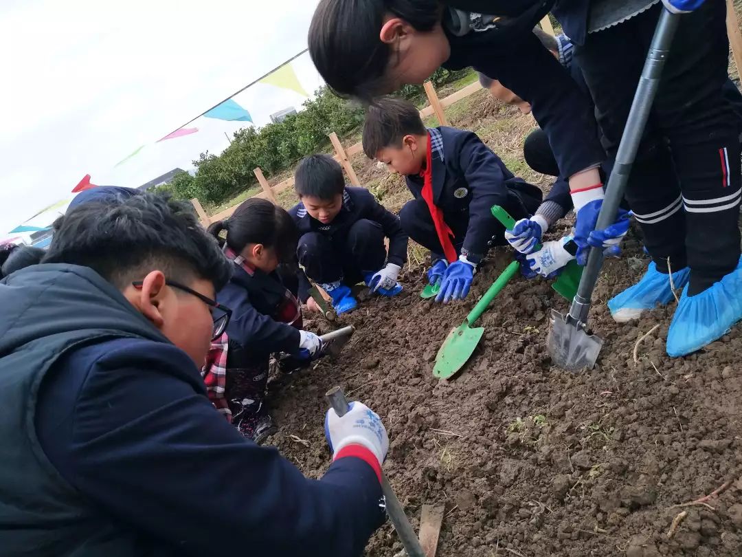 播种绿色希望收获金色未来人民小学联合章安校区开展学农综合实践活动