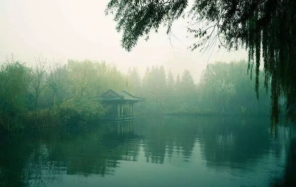 春天的雨,每一滴都落在心头