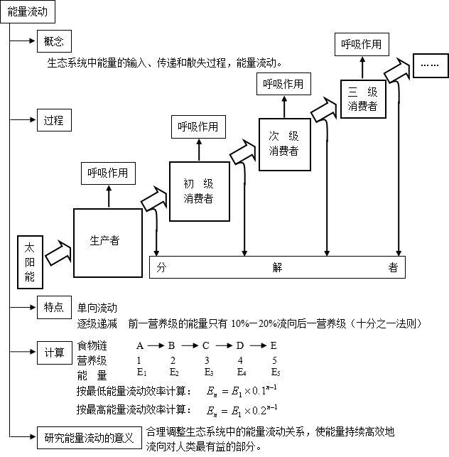 12生态系统的能量流动