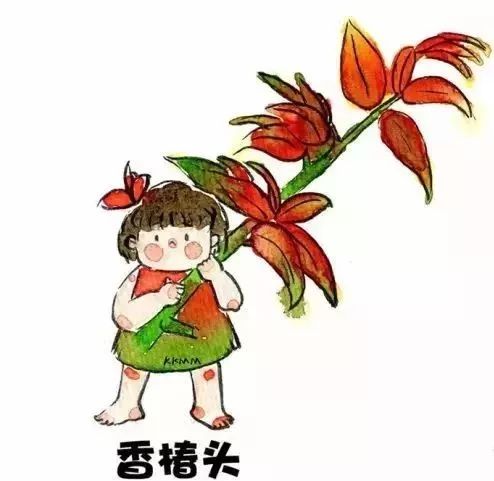 苏州人最爱的香椿头上市了,今年的价格有点奇怪