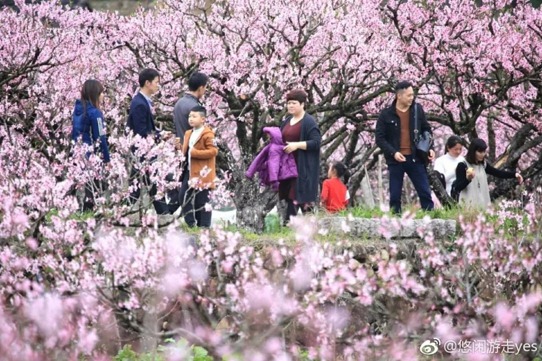 福安本地人口_福安白云山图片