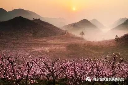 青州桃花谷景区