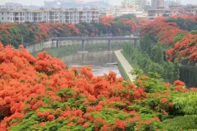 观澜人口_观澜山水田园