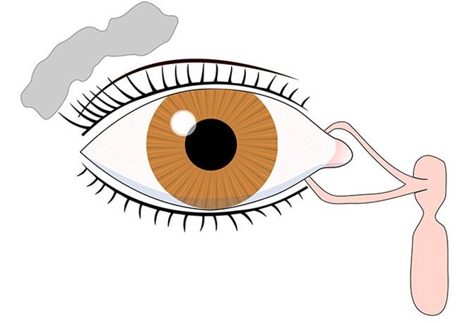 新生儿的泪腺在刚出生时大多数都是尚未完全发育的,小宝宝生下来时哇