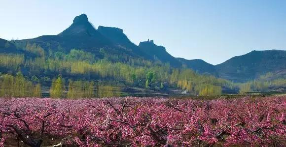 沂水县泉庄镇佃坪桃花山