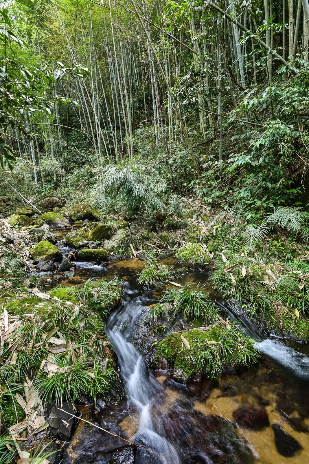 南方竟然也有不输长白山的自驾路囊括森林温泉和乡村美食