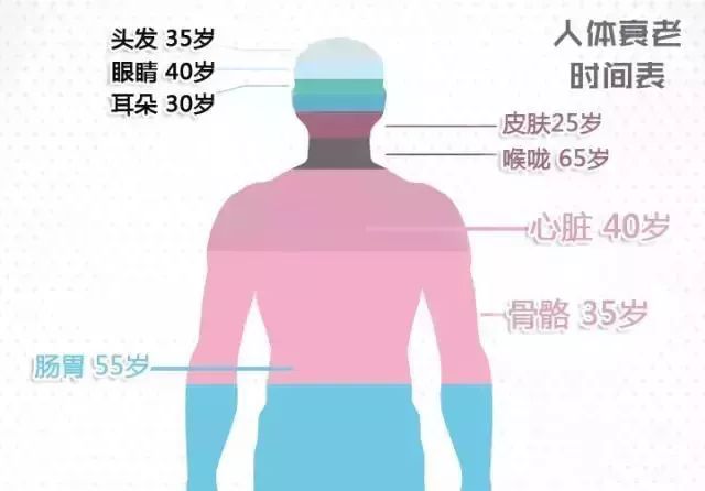 衰老总结_总结图片(3)