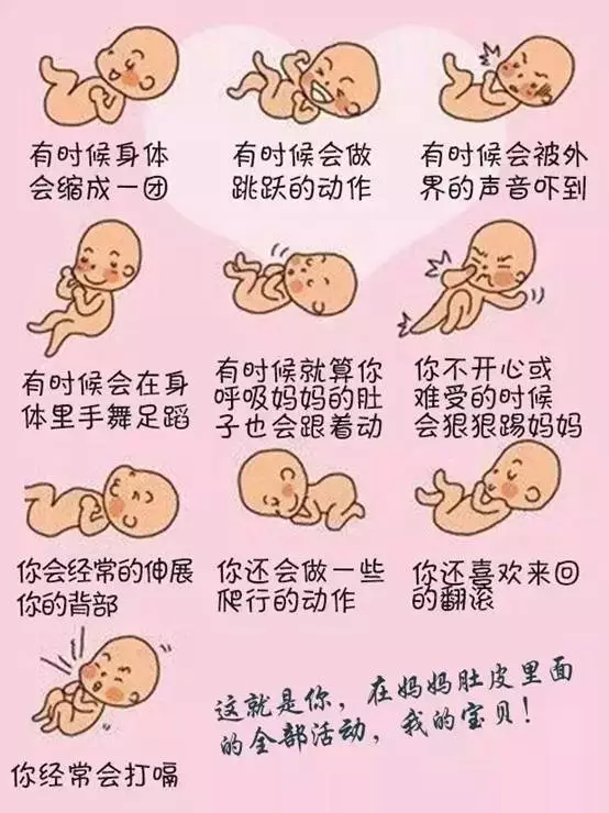 19周微笑胎儿,此阶段经常踢腿,伸腰,滚动,吮吸手指 ▲32胎儿身体