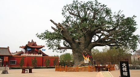 山西旅游景区门票价格大全!