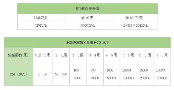 血液中,并快速增殖(每1-2天增长一倍)一直到孕期的第8-10周,达到峰值