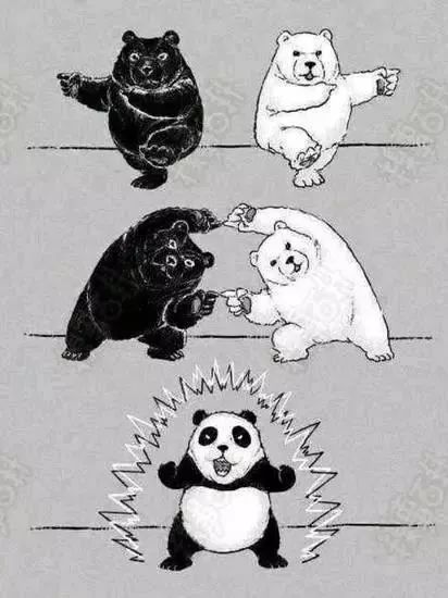 熊猫惊:谁说圆滚滚的胖子不灵活