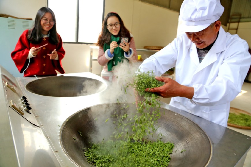 湖北远安:高端手工黄茶,非遗传人制作,1500元1斤,没有存货