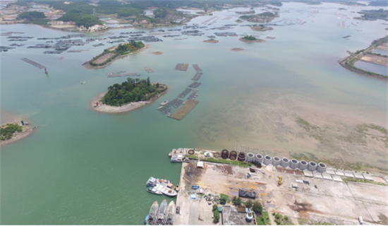 做大向海经济打造水产航母钦州市龙门港水产产业园发展侧记