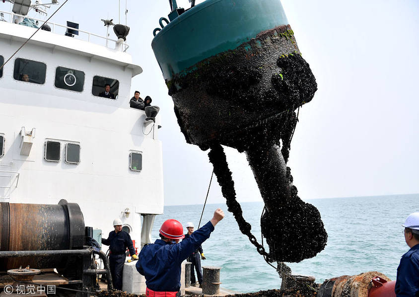 航标上附着生长了大量海虹等贝类海洋生物,甚至还有海参,成为大自然对