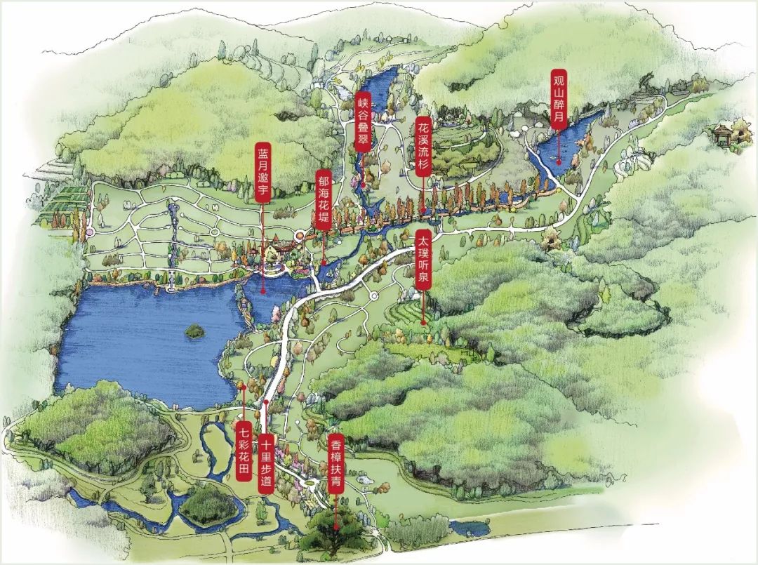 新湖·香格里拉|手绘赏花地图