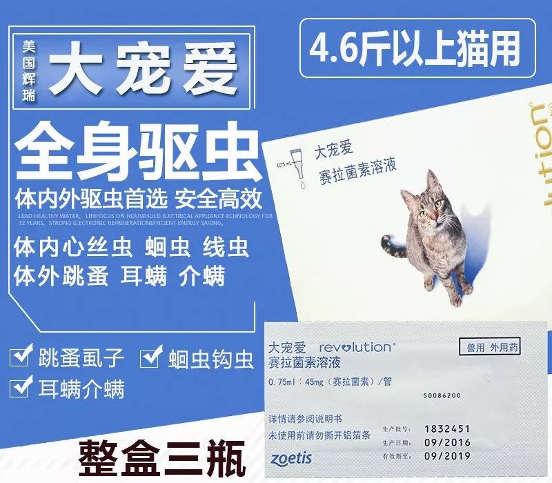 所以,即使是生活在家的宠物猫,驱虫也是必不可少的日常养护工作之一.