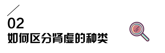 腰酸腿软失眠健忘竟是肾虚的警报这3种餐桌上的补肾黄金赶快试试