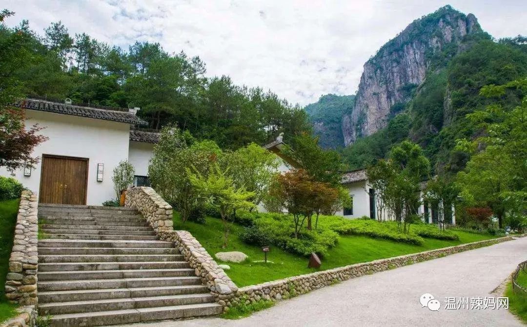 楠溪江醉美民宿你的宿求我知道住进最美的风景里隐于树隐于山尽情享受