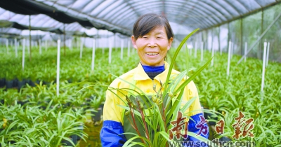 兰花产业带动一个粤北山区县的美丽蝶变