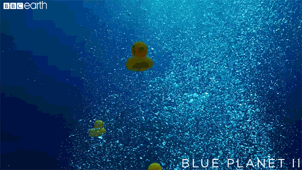 《蓝色星球 2》花了许多篇幅表现人类行为和气候变化对海洋的影响