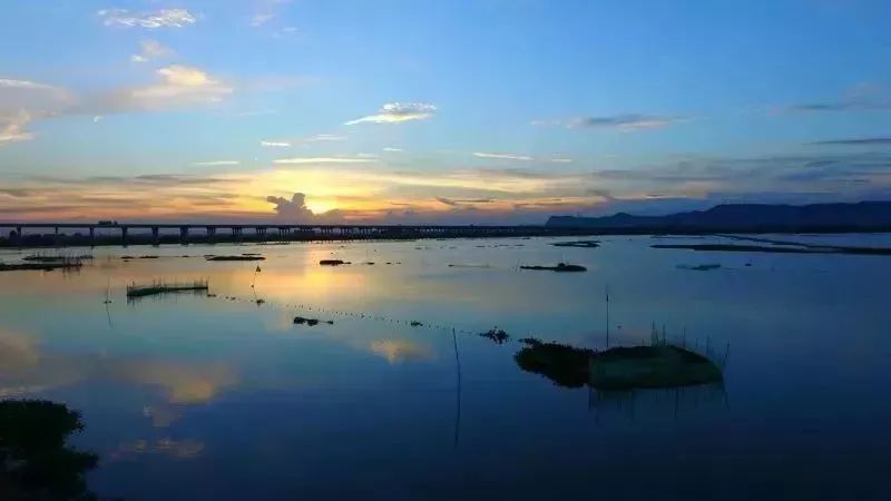 区内有广东省内最大内陆淡水湿地—潼湖湿地,多样的生态系统不仅使