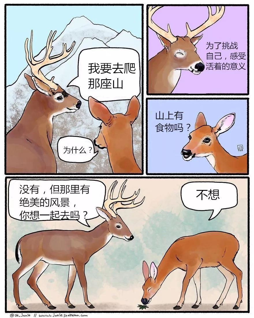 动物漫画我的焦虑你永远不懂