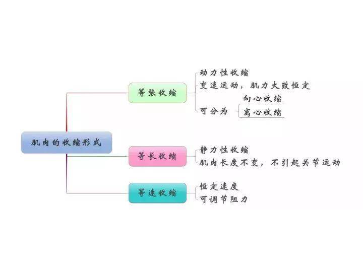 影响rom的主要因素3.肌力减退的因素(异常)2.影响肌力的因素