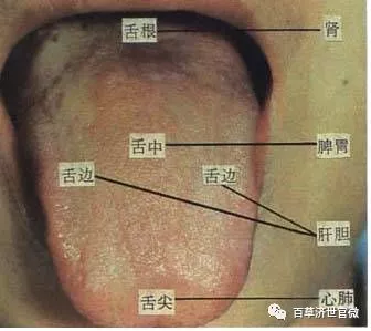 此次培训内容涉及中医传统诊疗法,包含 舌诊,刮痧,拔罐,艾灸四个方面