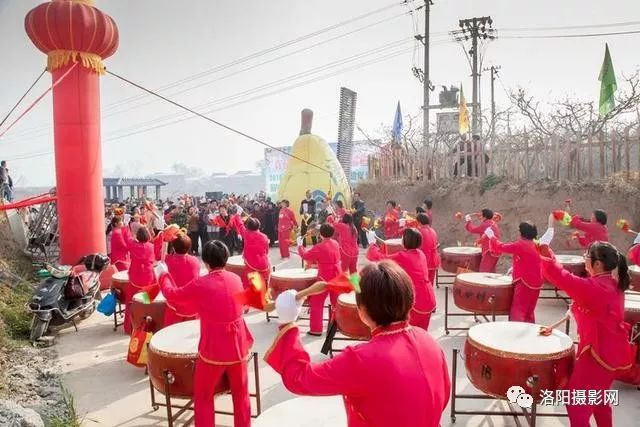 来孟津耍吧!洛阳第六届会盟梨花节今日开幕