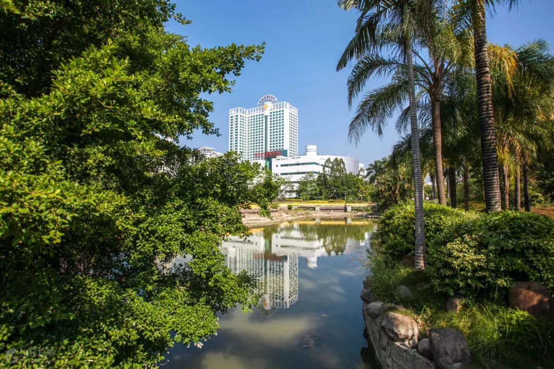 陪我去一趟福州,看江滨的夜景,去金山寺看晚霞,去聚春园吃佛跳墙.