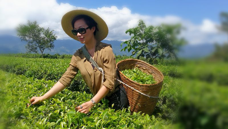 茶山学茶 两个月,坚定在这里建立茶园基地