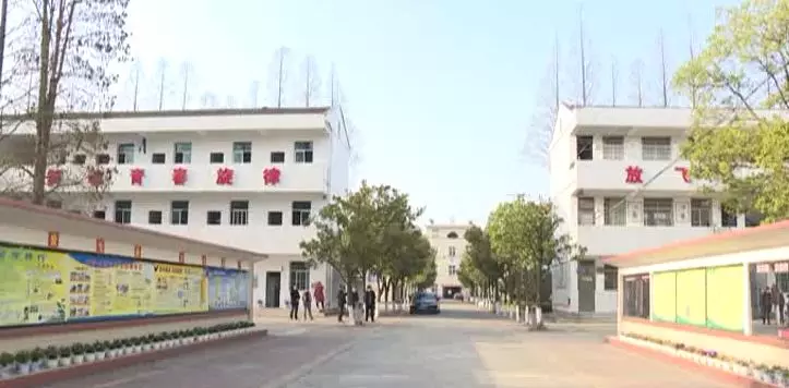 邹如龙一行先后深入澧县二中,澧浦街道三合小学,小渡口镇中学,小渡口