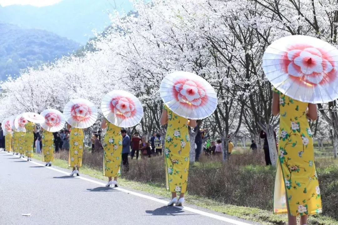 【上虞章镇】樱为有你,今天这里成了这个春天最浪漫的