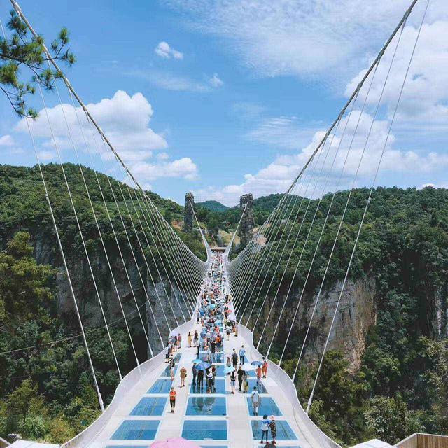 清明节假期和五一假期去张家界旅游玩这些景点准没错