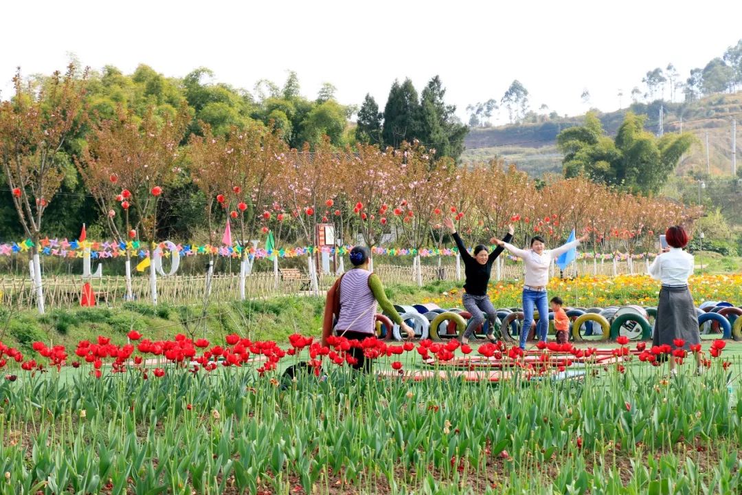 独家视频賨州花事岳池篇